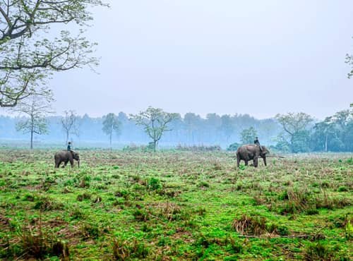 Chitwan Tour Package